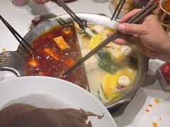 -九鼎轩脆毛肚火锅(三钢里店)