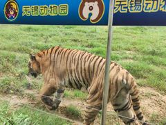 -无锡动物园·太湖欢乐园