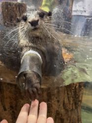 -Zoolung Zoolung动物主题公园(海信广场店)