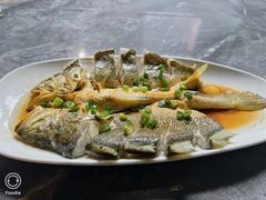 -1937青岛老味道·海肠捞饭·青岛菜(大鲍岛栈桥店)