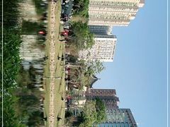 -四海公园(南山区)