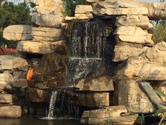 -羊亭河湿地公园