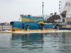 -秦皇岛乐岛海洋王国