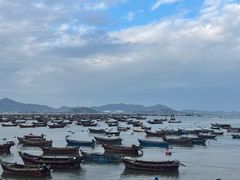 -春妮海味饭店·海景餐厅·海菜包子·大连海鲜