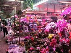-花鸟鱼虫鲜花绿植市场(玉泉路店)