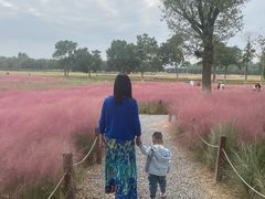 -汉长安城未央宫国家考古遗址公园