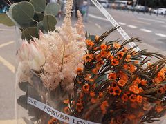 -双季花艺园艺市场(浦东店)