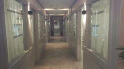 -亲吻宝贝儿童摄影