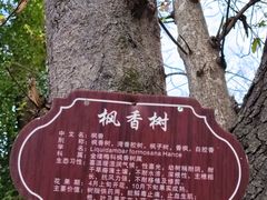 -灵光寺
