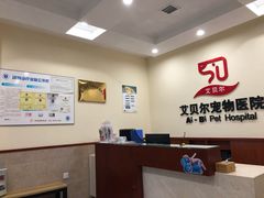 -艾贝尔宠物医院·狂犬免疫点(江山金象城店)