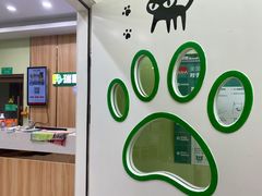 -瑞鹏宠物医院·夜间急症·心超·猫科(祖庙分店)
