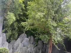 -口岸雕花楼