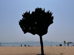 -青岛第一海水浴场