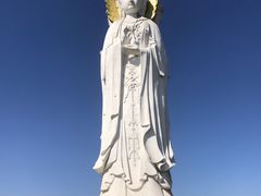 -白洋淀景区