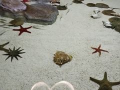 -福州罗源湾海洋世界旅游区