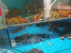 -王大厨·海鲜·家常菜