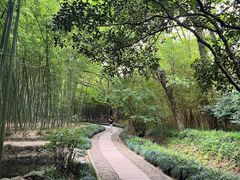 -兰亭风景区