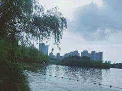 -天鹅湖体育公园