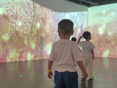 -海合安武汉极地海洋公园
