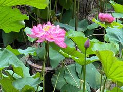 -金桥现代产业园区-停车场