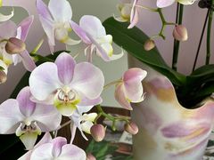 -番禺广场(市桥街道)