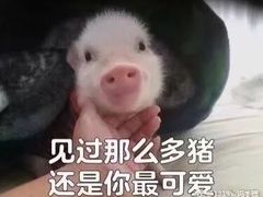 -鸡鸣汤包(仙林店)