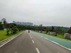 -广西壮族自治区药用植物园