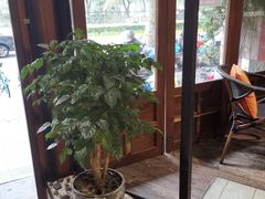 -VESH COFFEE(定西路店)