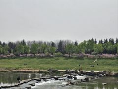 -洨河生态公园
