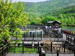 -石塘人家