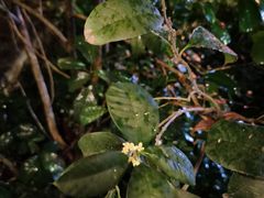 -顺风山庄(水濂山店)