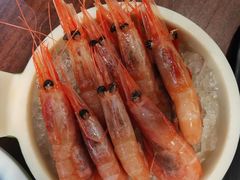 -黑松白鹿(金融街店)