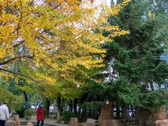 -辽宁大学(崇山校区)