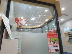 -瑞派名望志远动物医院·猫科·內科·异宠专科(直港大道店)