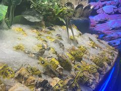 -千家粗粮王(MOMOPARK店)