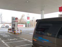 -中国石化苗圃加油站