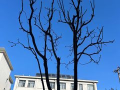 -北京南锣鼓巷亚朵酒店