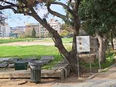 -奥林匹亚宙斯神庙