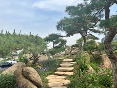 -罗红摄影艺术馆