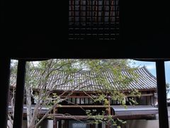 -巍山古城-拱辰楼