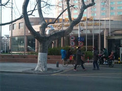 -南京维景国际大酒店(南京博物院店)