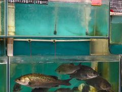 -渔意坊·千层无骨鱼粥底火锅·20年顺德菜(普君店)