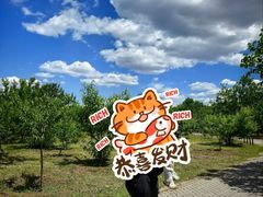 -御林古桑园