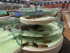 -苏州吴中白金汉爵大酒店
