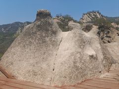 -大岭沟猕猴桃谷风景区