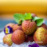 惊艳！星级酒店里的名媛下午茶，竟私藏了整个夏日果园！ 