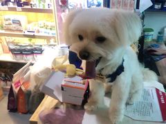 -佳百利宠物(荣乐中路115弄小区店)