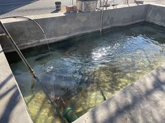 -北京龙庆四季香农家饭庄·灶台鱼·碳烤虹鳟鱼(龙庆峡店)