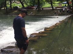 -鹿亭中村