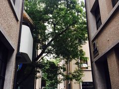 -徐家汇源景区-衡山坊